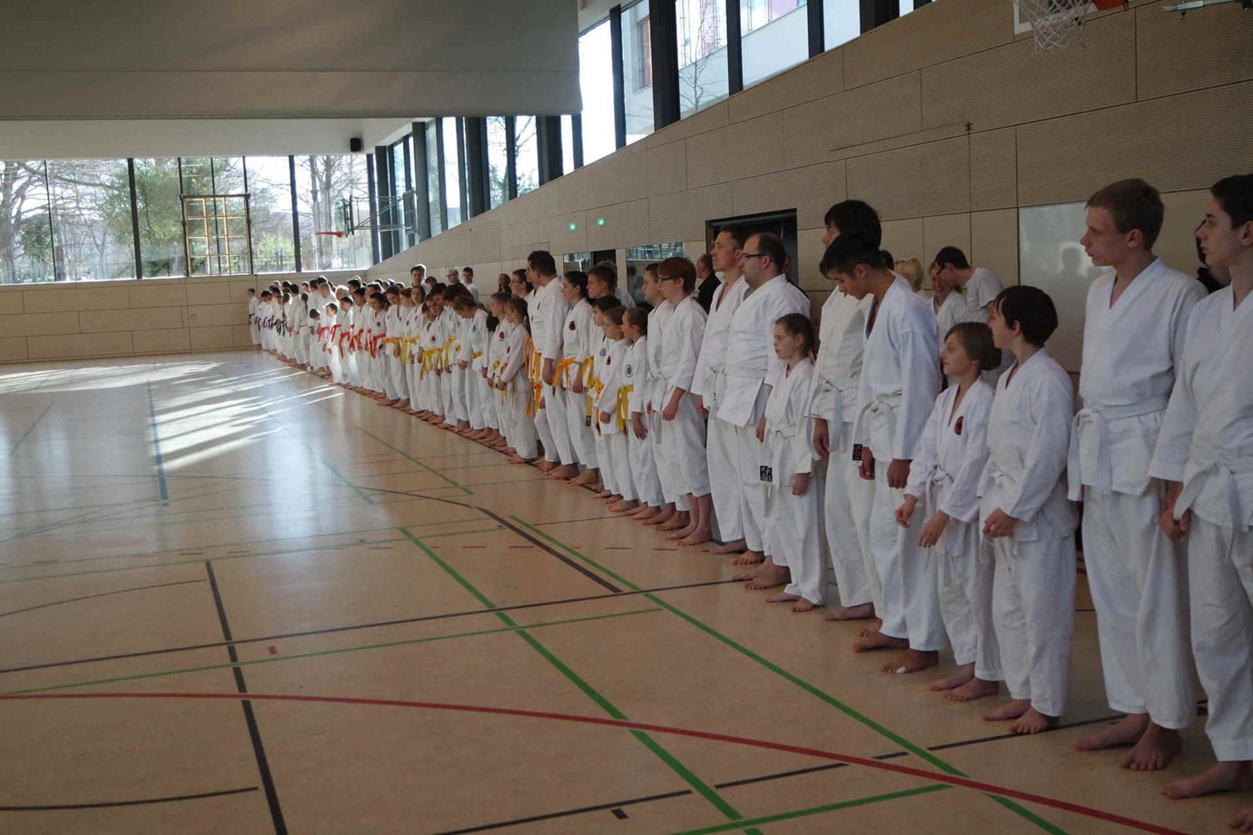 Eine lange Reihe Karateka tritt zum Lehrgang an